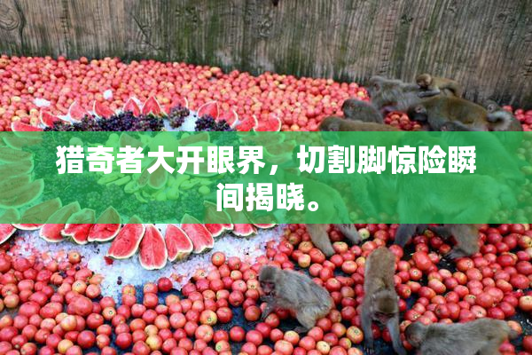 猎奇者大开眼界，切割脚惊险瞬间揭晓。