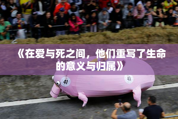 《在爱与死之间，他们重写了生命的意义与归属》