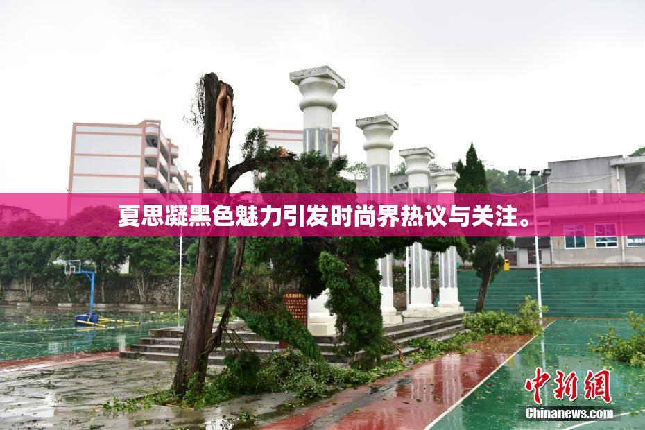 夏思凝黑色魅力引发时尚界热议与关注。
