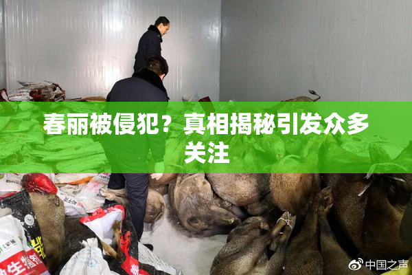 春丽被侵犯？真相揭秘引发众多关注