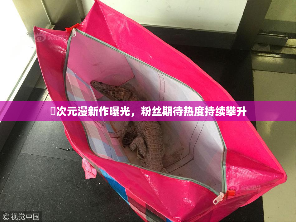 囧次元漫新作曝光，粉丝期待热度持续攀升