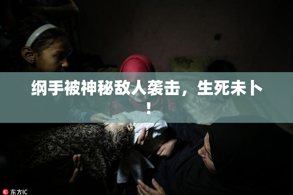 纲手被神秘敌人袭击，生死未卜！