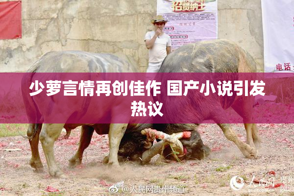 少萝言情再创佳作 国产小说引发热议