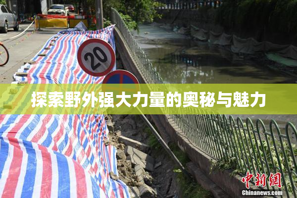 探索野外强大力量的奥秘与魅力