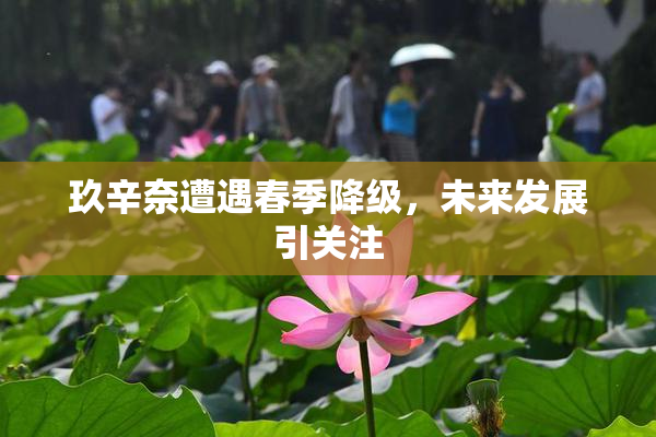 玖辛奈遭遇春季降级，未来发展引关注