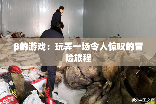 β的游戏：玩弄一场令人惊叹的冒险旅程