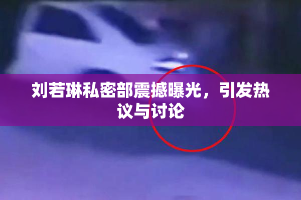 刘若琳私密部震撼曝光，引发热议与讨论
