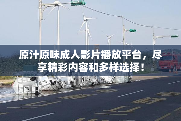 原汁原味成人影片播放平台，尽享精彩内容和多样选择！