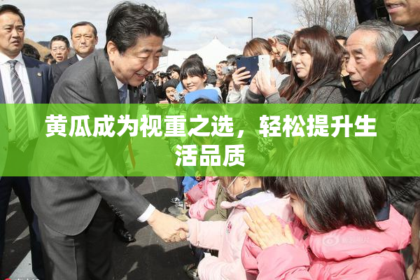 黄瓜成为视重之选，轻松提升生活品质