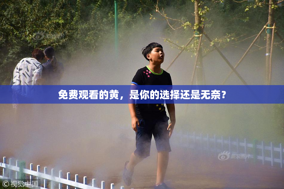 免费观看的黄，是你的选择还是无奈？