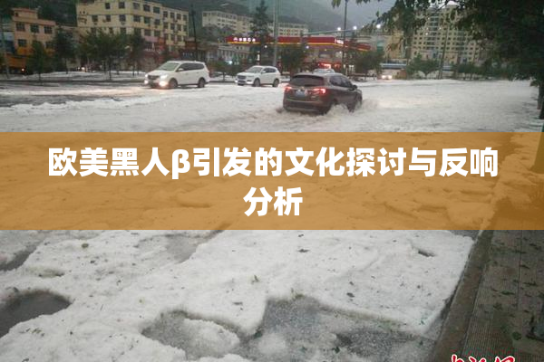 欧美黑人β引发的文化探讨与反响分析
