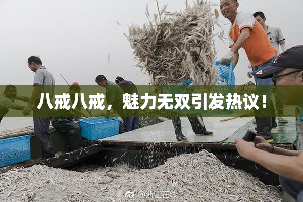 八戒八戒，魅力无双引发热议！