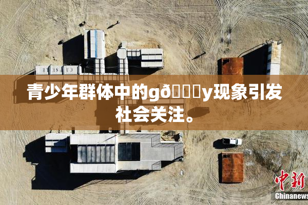 青少年群体中的g🈚y现象引发社会关注。