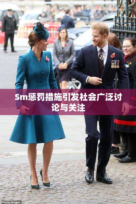 Sm惩罚措施引发社会广泛讨论与关注