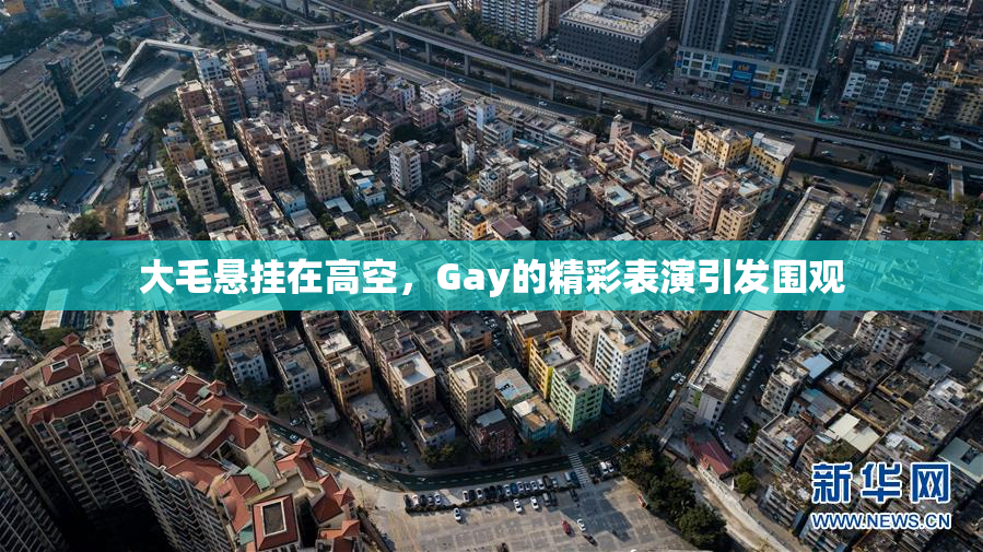 大毛悬挂在高空，Gay的精彩表演引发围观