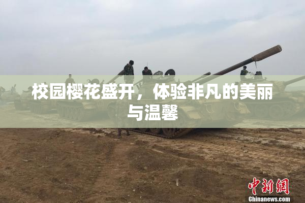 校园樱花盛开，体验非凡的美丽与温馨