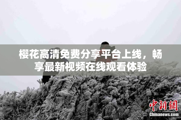 樱花高清免费分享平台上线，畅享最新视频在线观看体验