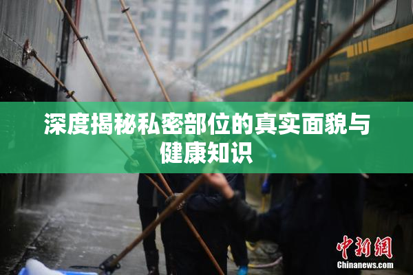 深度揭秘私密部位的真实面貌与健康知识