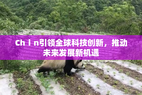 Chⅰn引领全球科技创新，推动未来发展新机遇