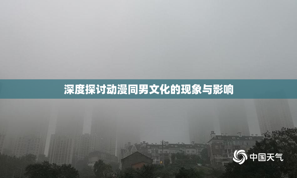 深度探讨动漫同男文化的现象与影响