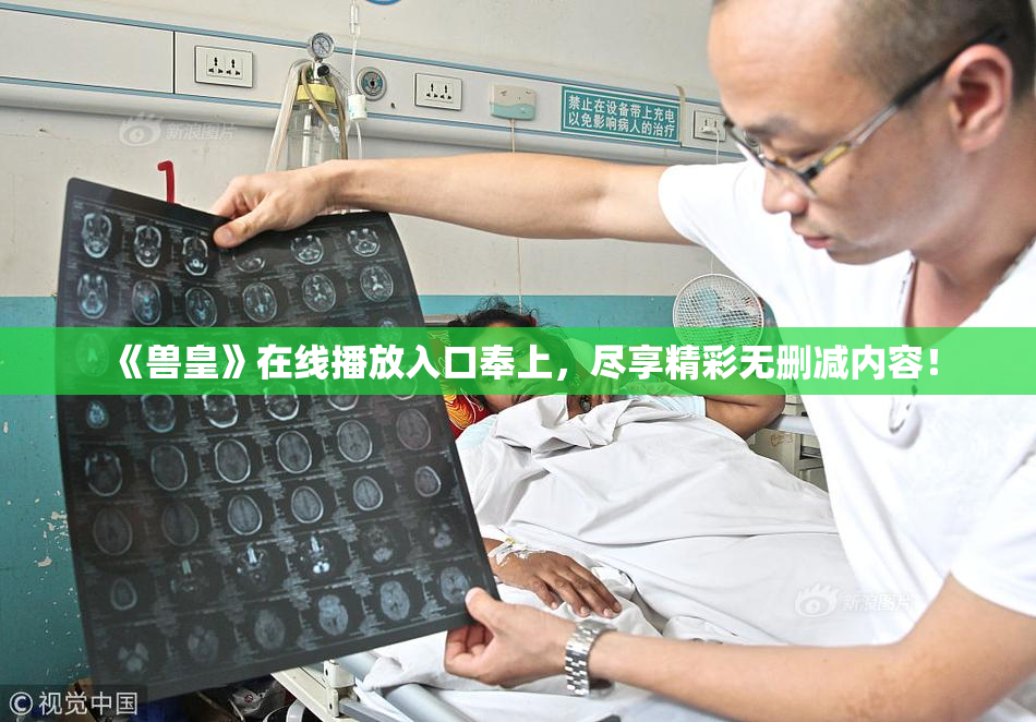 《兽皇》在线播放入口奉上，尽享精彩无删减内容！