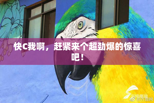 快C我啊，赶紧来个超劲爆的惊喜吧！
