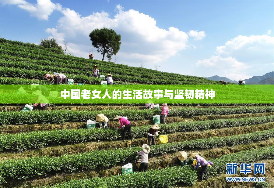 中国老女人的生活故事与坚韧精神
