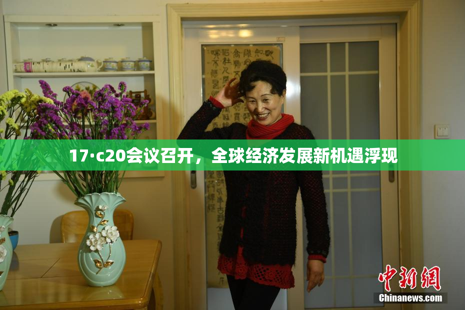 17·c20会议召开，全球经济发展新机遇浮现