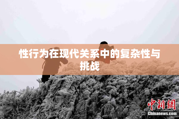 性行为在现代关系中的复杂性与挑战
