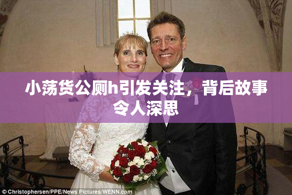 小荡货公厕h引发关注，背后故事令人深思