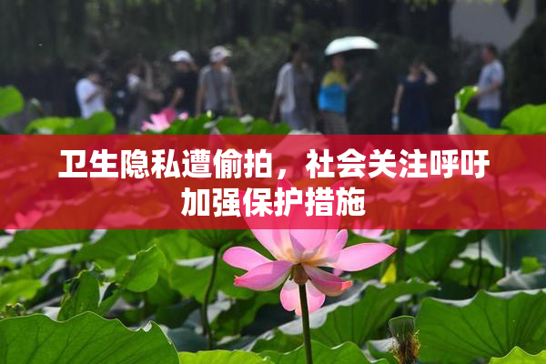 卫生隐私遭偷拍，社会关注呼吁加强保护措施