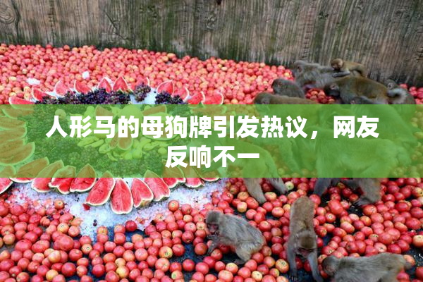 人形马的母狗牌引发热议，网友反响不一