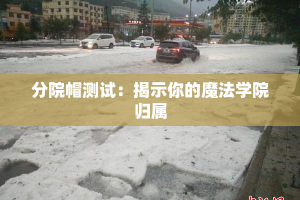 分院帽测试：揭示你的魔法学院归属