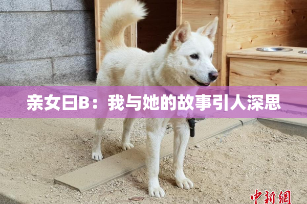亲女曰B：我与她的故事引人深思