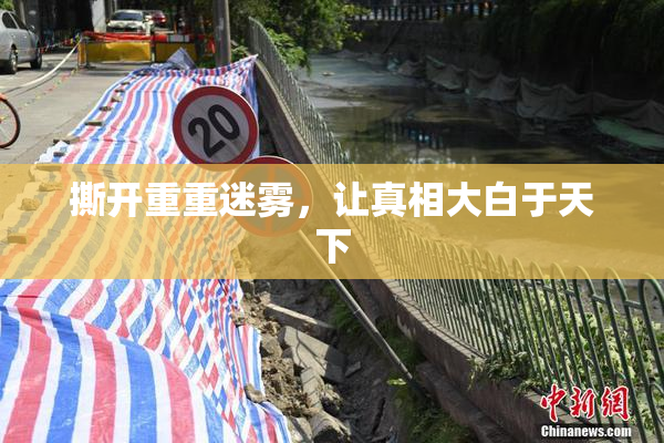 撕开重重迷雾，让真相大白于天下