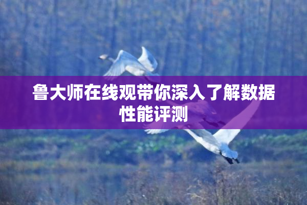 鲁大师在线观带你深入了解数据性能评测