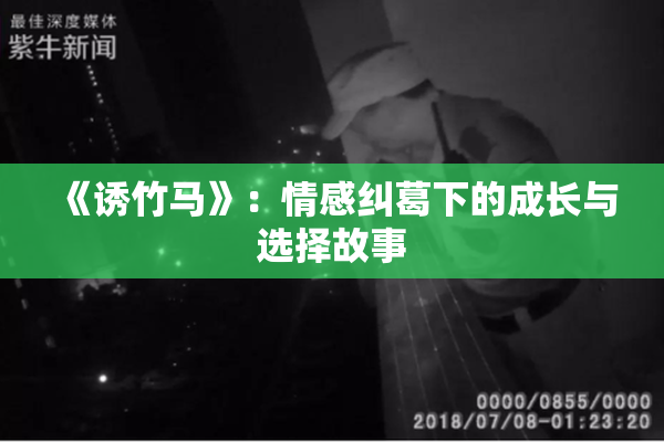 《诱竹马》：情感纠葛下的成长与选择故事