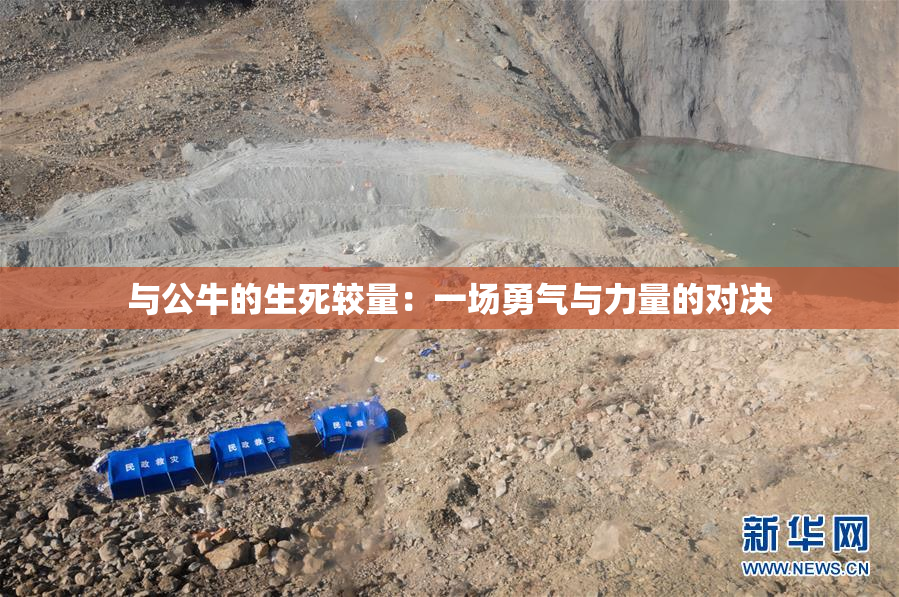 与公牛的生死较量：一场勇气与力量的对决