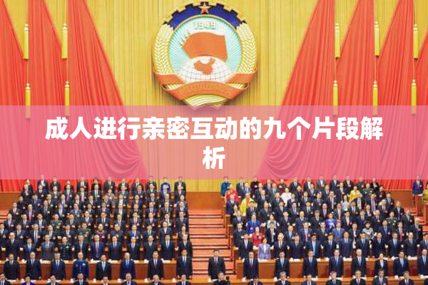 成人进行亲密互动的九个片段解析