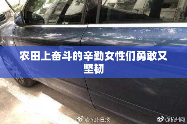 农田上奋斗的辛勤女性们勇敢又坚韧
