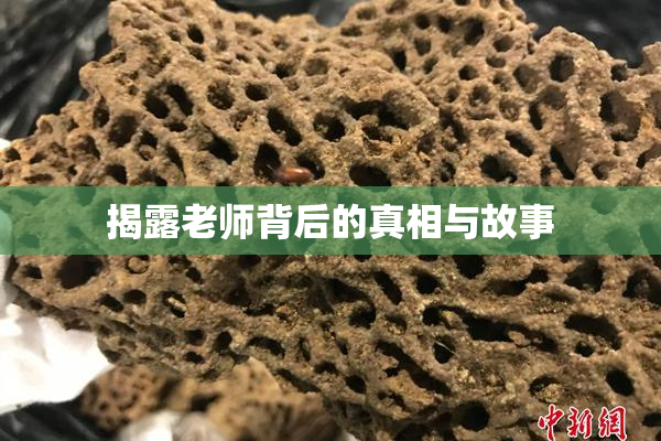 揭露老师背后的真相与故事