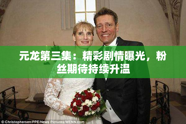 元龙第三集：精彩剧情曝光，粉丝期待持续升温