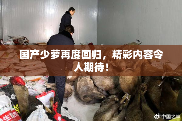 国产少萝再度回归，精彩内容令人期待！