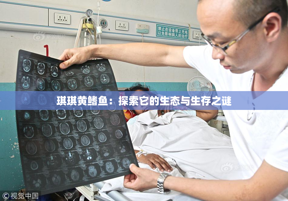 琪琪黄鳍鱼：探索它的生态与生存之谜