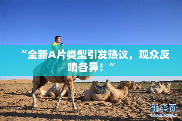 “全新A片类型引发热议，观众反响各异！”