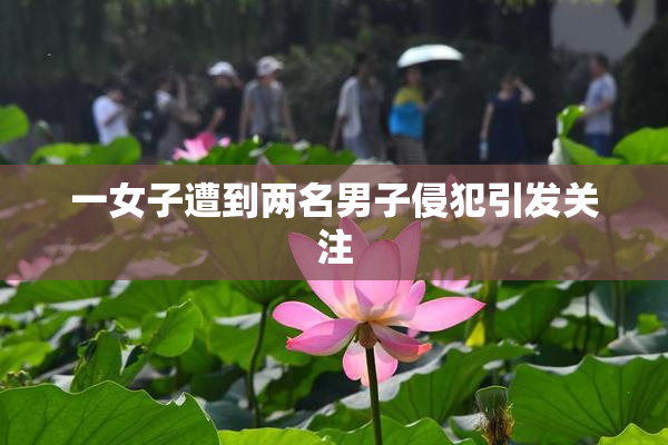 一女子遭到两名男子侵犯引发关注