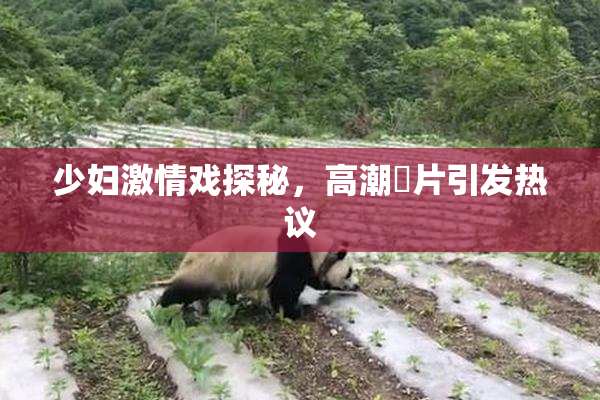少妇激情戏探秘，高潮婬片引发热议