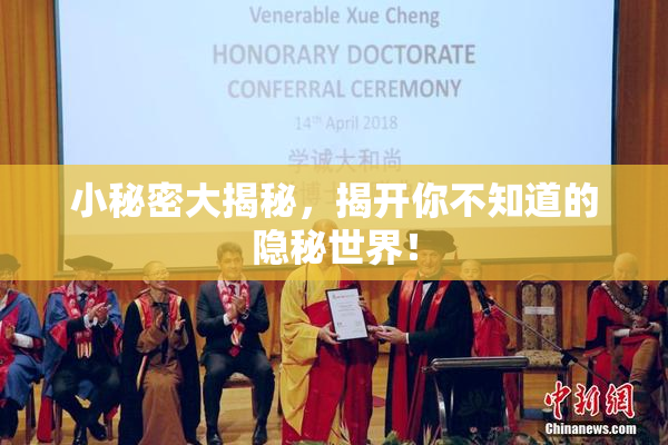 小秘密大揭秘，揭开你不知道的隐秘世界！