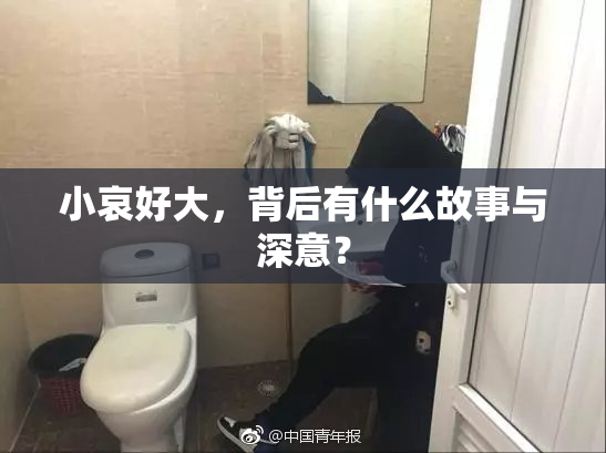 小哀好大，背后有什么故事与深意？