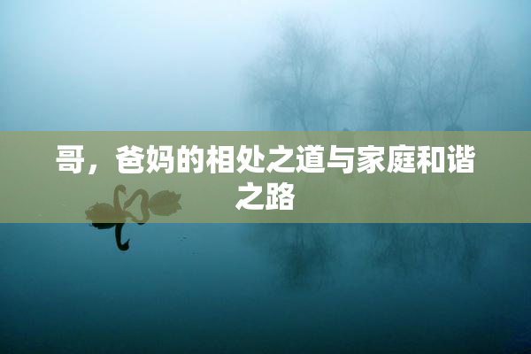 哥，爸妈的相处之道与家庭和谐之路
